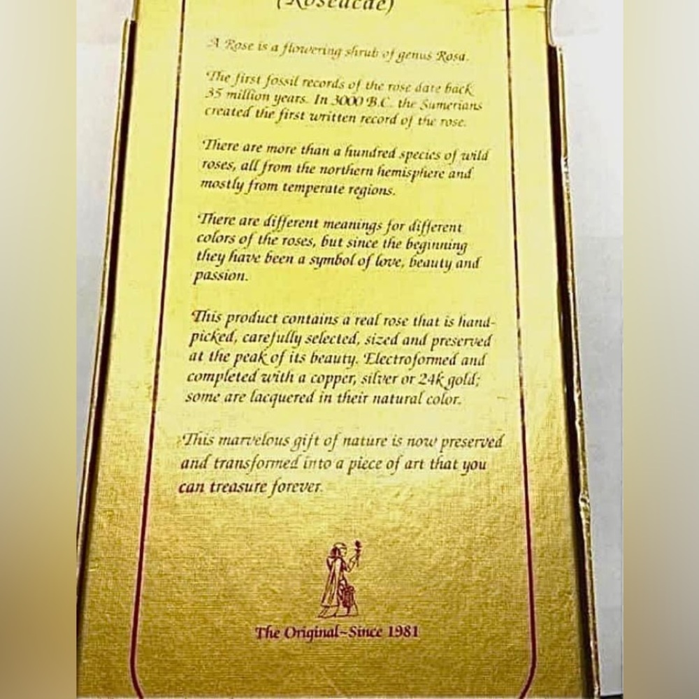 Nib Vintage Stock 24k Gold Dipped Real Red Long S… - image 2